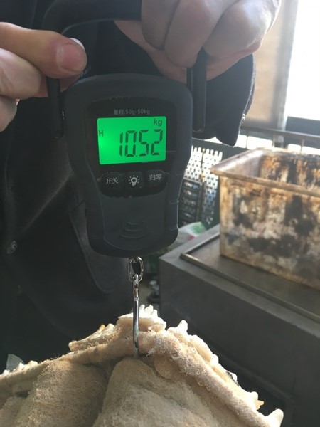 捕捉漆霧后稱重